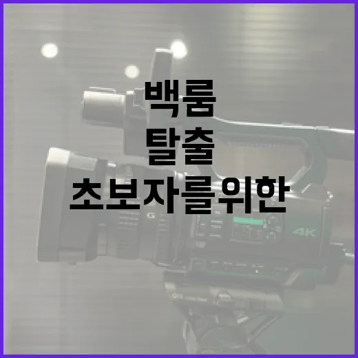 백룸에서 탈출하는 방법: 초보자를 위한 가이드 - 요약