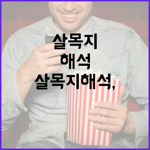 살목지 해석, 이렇게 접근해보세요 - 요약