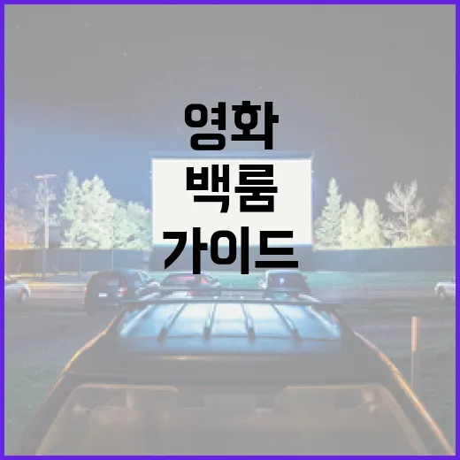 영화 '백룸'을 즐기는 방법, 초보자를 위한 가이드 - 요약