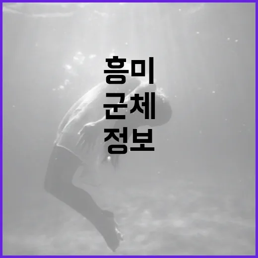 군체에 대한 흥미로운 사실과 정보 - 요약