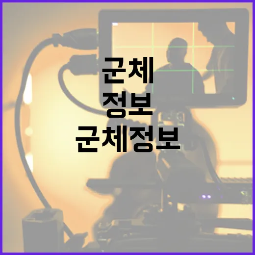 군체 정보를 제대로 이해하는 방법 - 요약
