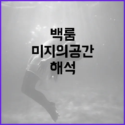 백룸 해석: 그 미지의 공간을 알아보자 - 요약