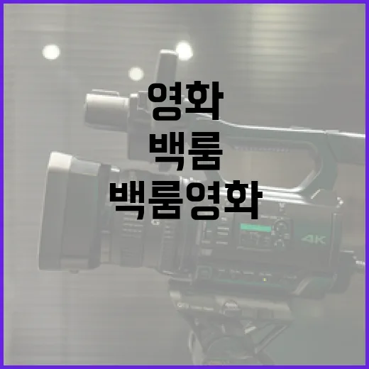 백룸 영화의 매력과 숨겨진 이야기들 - 요약