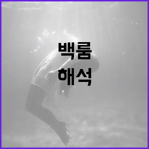백룸이란 무엇인가: 신비로운 현상과 그 해석 - 요약
