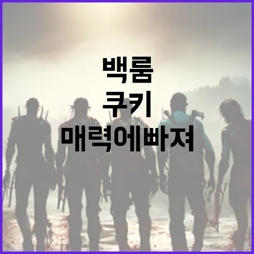 백룸 쿠키의 매력에 빠져보는 법 - 요약