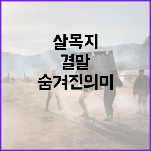 살목지 결말: 그 뒷이야기와 숨겨진 의미 - 요약