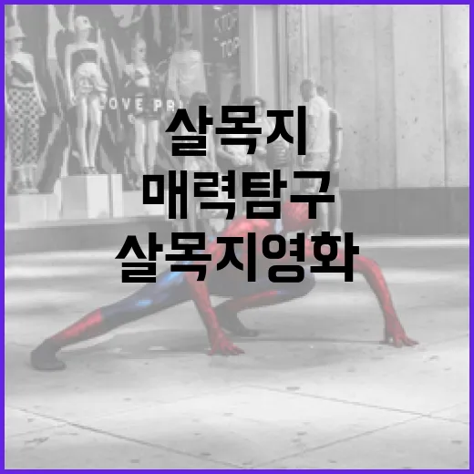 살목지 영화, 그 매력 탐구하기 - 요약