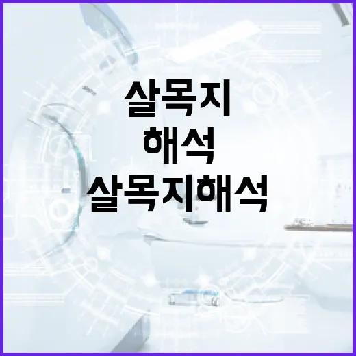 살목지 해석: 이해하기 쉬운 방법 - 요약