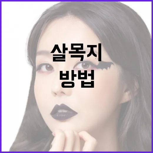 살목지를 이해하는 방법 - 요약