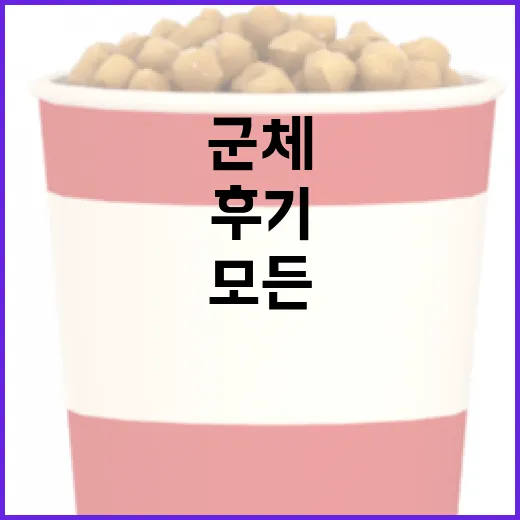 군체 후기: 내가 경험한 군생활의 모든 것 - 요약