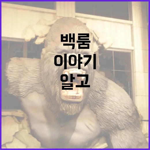 백룸: 알고 나면 더 흥미로운 이야기 - 요약