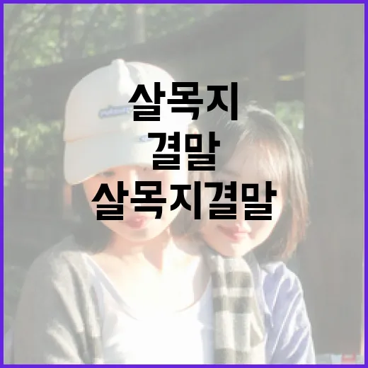 살목지 결말을 이해하는 방법 - 요약