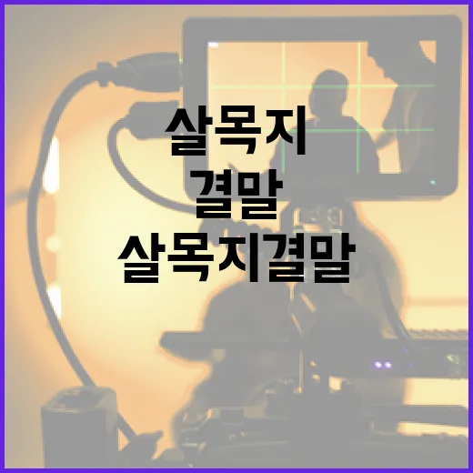 살목지 결말을 이해하는 방법 - 요약
