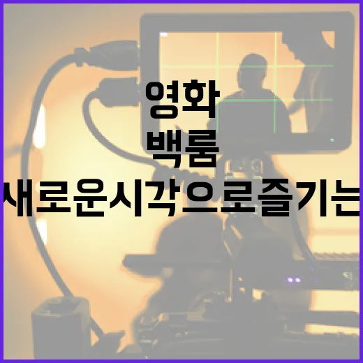 영화 '백룸'의 매력과 새로운 시각으로 즐기는 방법 - 요약