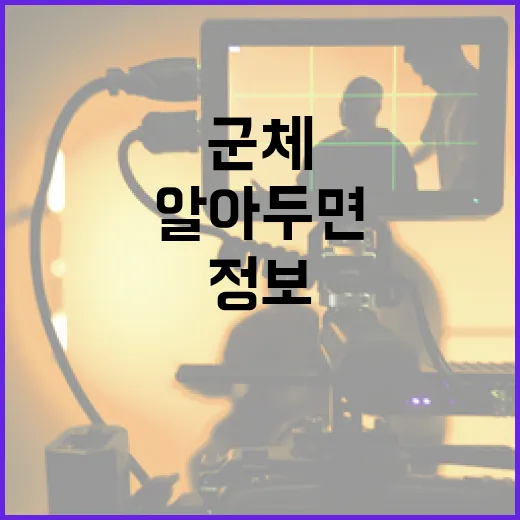군체 정보: 알아두면 쓸모 있는 이야기 - 요약