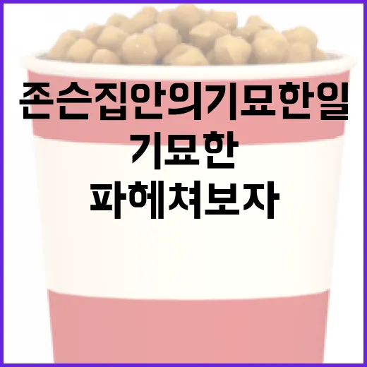 존슨 집안의 기묘한 일: 그들의 비밀을 파헤쳐보자 - 요약