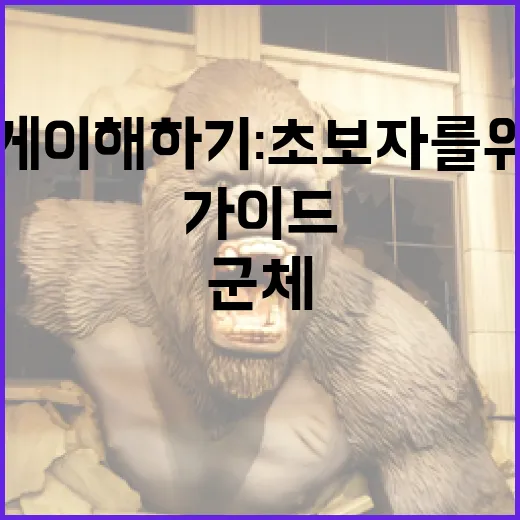 군체 쿠키 쉽게 이해하기: 초보자를 위한 가이드 - 요약