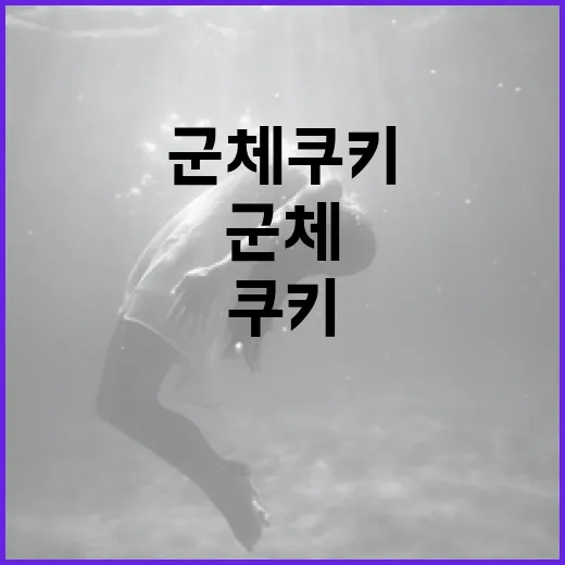 군체 쿠키로 재미있게 게임하는 방법 - 요약
