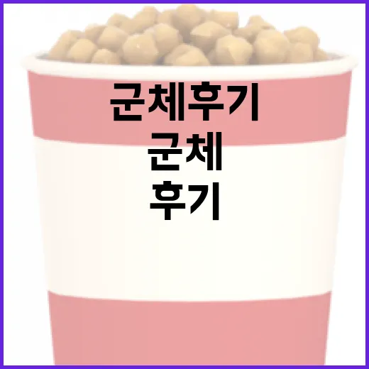 군체 후기를 통해 알아보는 효과적인 군체 방법 - 요약