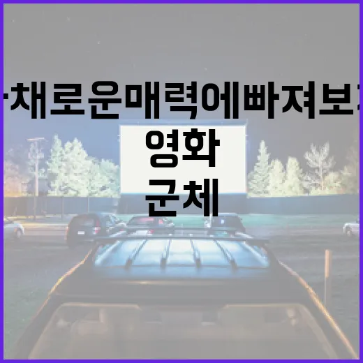 군체 영화: 다채로운 매력에 빠져보자 - 요약