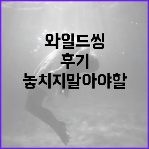 흥미진진한 '와일드씽' 후기: 놓치지 말아야 할 이유 - 요약