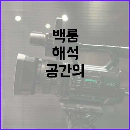 백룸 해석: 비밀스러운 공간의 진실 - 요약