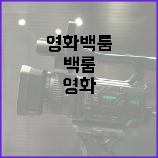 신비로운 영화 백룸의 세계, 알아보기 - 요약