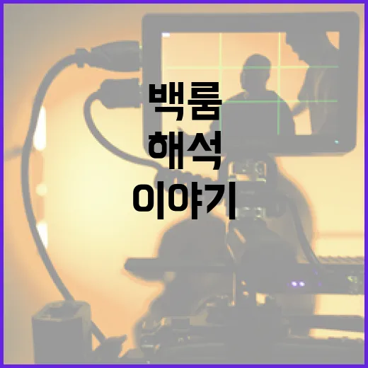 백룸 해석: 현실과 가상의 경계를 넘나드는 이야기 - 요약