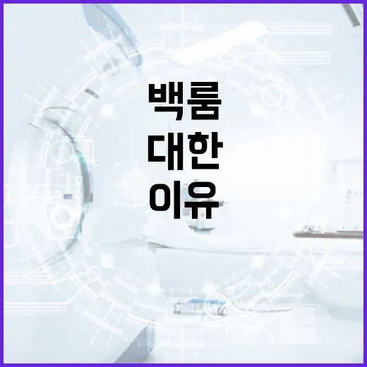 백룸에 대한 모든 것: 알고 나면 더 안전한 이유 - 요약