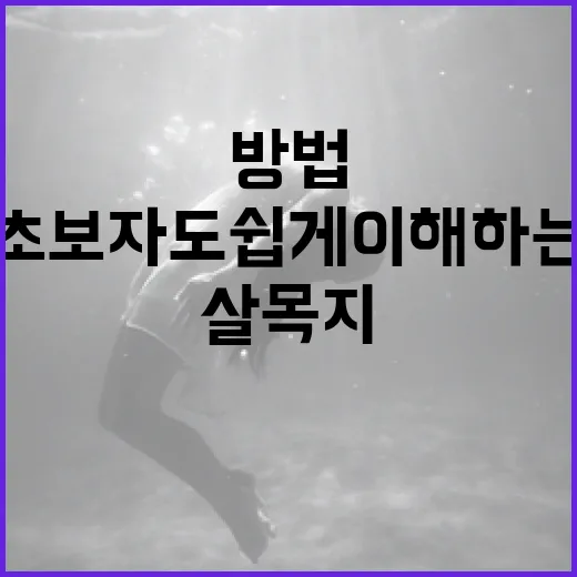살목지 해석하기: 초보자도 쉽게 이해하는 방법 - 요약