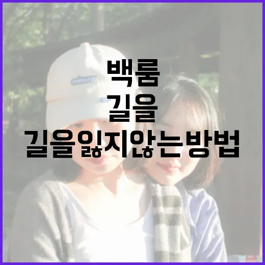 백룸에서 길을 잃지 않는 방법 - 요약