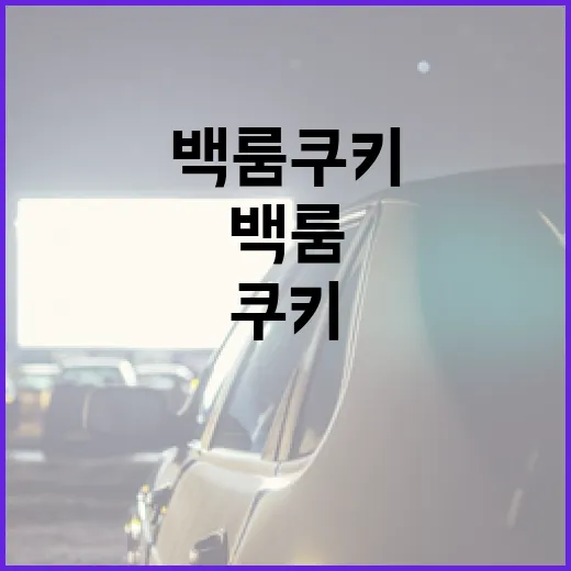 백룸 쿠키 제대로 즐기는 방법 - 요약
