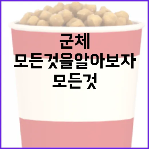 군체 정보를 이해하는 방법: 모든 것을 알아보자 - 요약