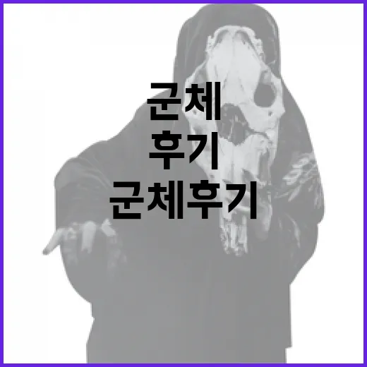 군체 후기: 제대로 알고 선택하는 방법 - 요약