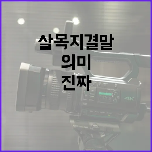 살목지 결말, 그 진짜 의미를 알아보자 - 요약