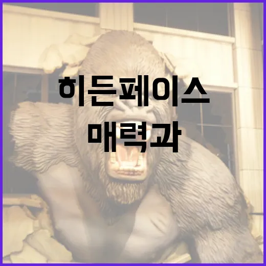 히든페이스의 매력과 활용법 - 요약