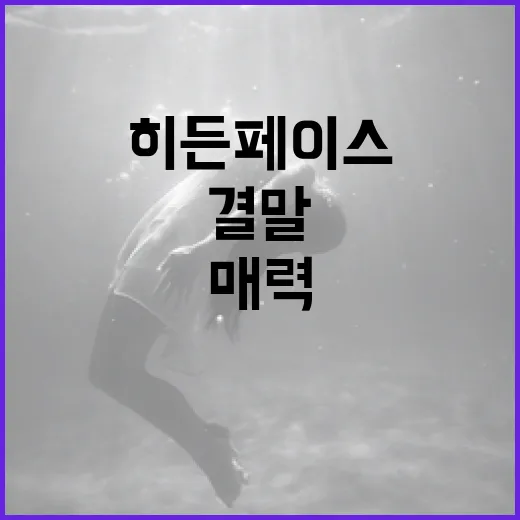 히든페이스 결말을 이해하는 법: 그 매력 속으로 - 요약