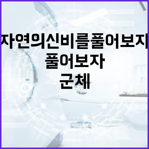 군체를 이해하는 방법: 자연의 신비를 풀어보자 - 요약