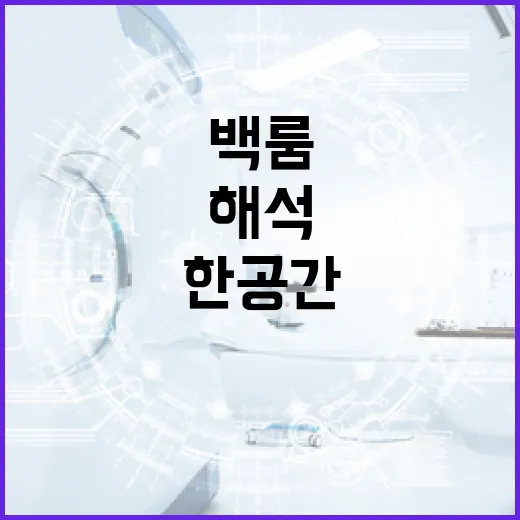 백룸 해석: 이 미스터리한 공간의 비밀 - 요약