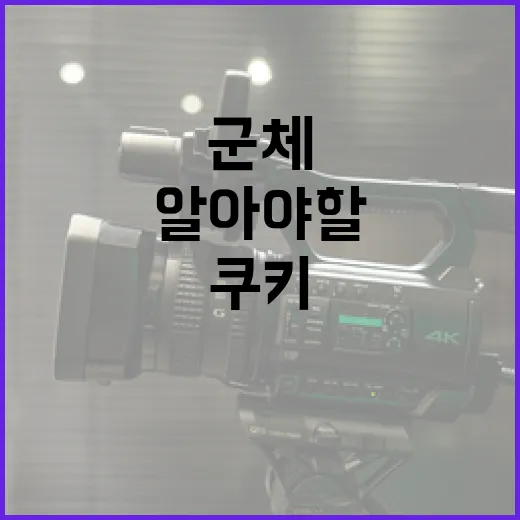 군체 쿠키에 대해 알아야 할 모든 것 - 요약
