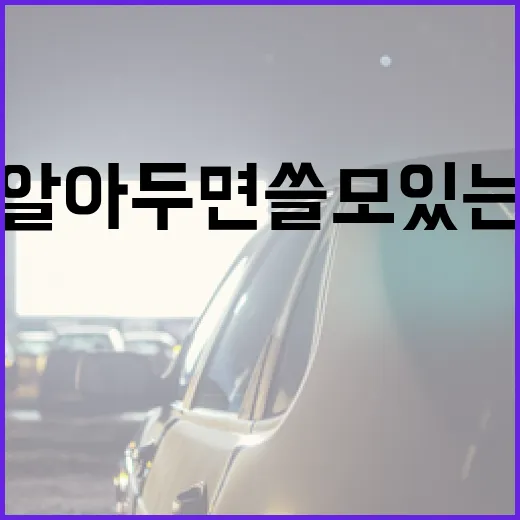 군체 정보 쉽게 이해하기: 알아두면 쓸모 있는 팁 - 요약