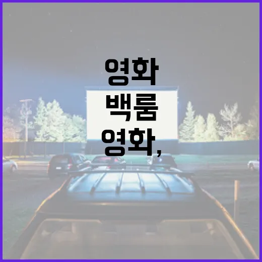 백룸 영화, 그 신비로운 세계에 빠져들다 - 요약