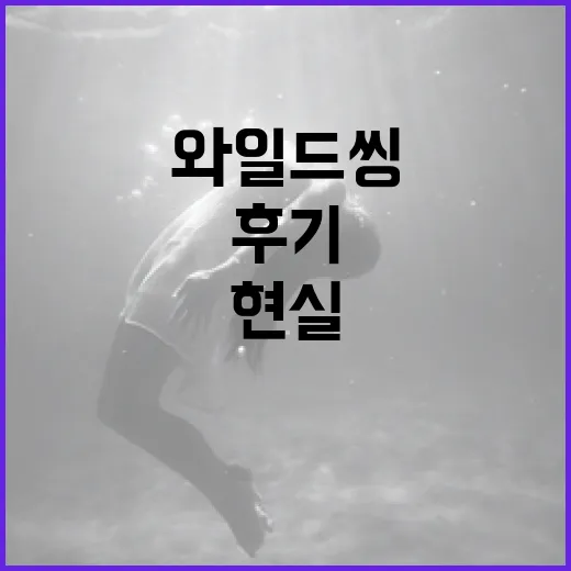 와일드씽을 경험한 솔직 후기: 기대와 현실 사이 - 요약