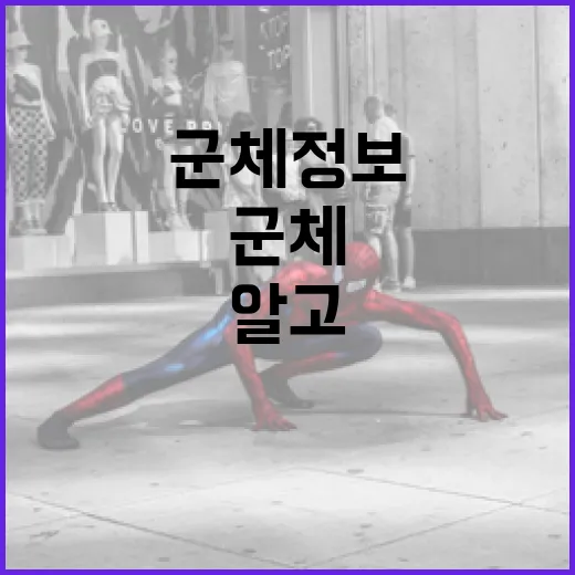 군체 정보: 알고 보면 흥미로운 사실들 - 요약