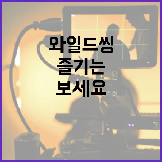 와일드씽을 즐기는 방법: 당신의 모험을 시작해보세요! - 요약