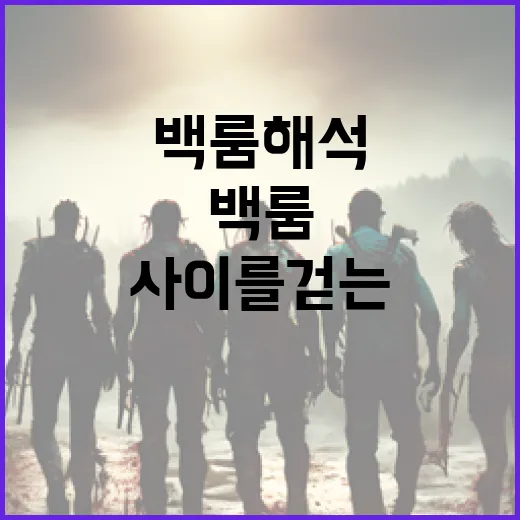 백룸 해석: 현실과 비현실 사이를 걷는 경험 - 요약