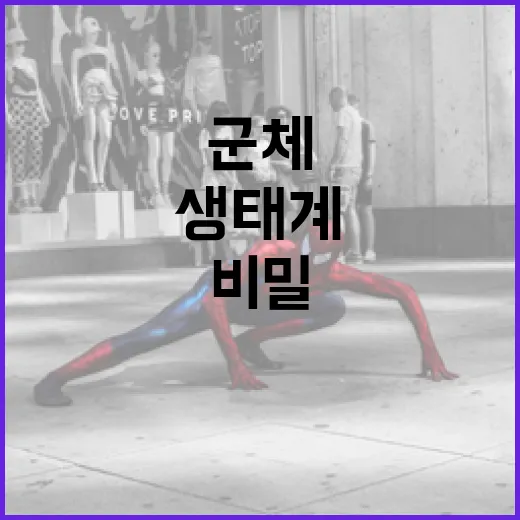 군체를 이해하는 방법: 우리가 몰랐던 생태계의 비밀 - 요약