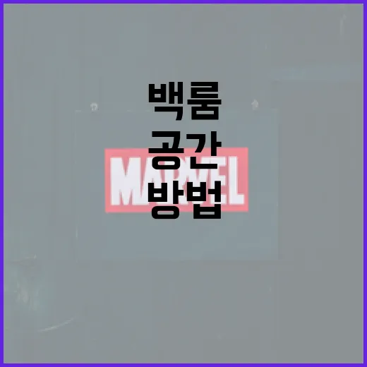 백룸을 이해하는 방법: 미스터리 공간의 진실 - 요약