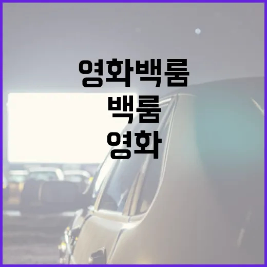 영화 백룸을 제대로 즐기는 방법 - 요약