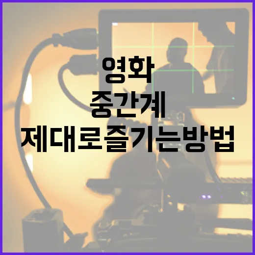 중간계 영화 제대로 즐기는 방법 - 요약